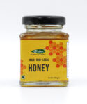 Honey 100gm 1